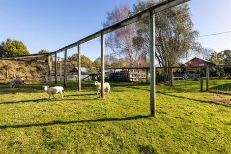 Photo of property in 144 Blind Creek Road, Tuamarina, Blenheim, 7273