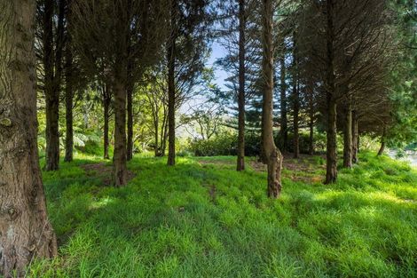 Photo of property in 331a Mangorei Road, Merrilands, New Plymouth, 4312