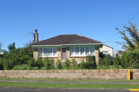 Photo of property in 13 Fitzherbert Street, Putaruru, 3411