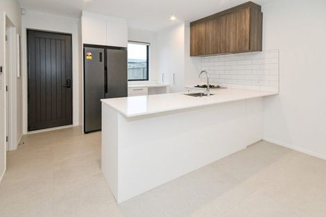 Photo of property in 41 Adlam Lane, Takanini, 2112