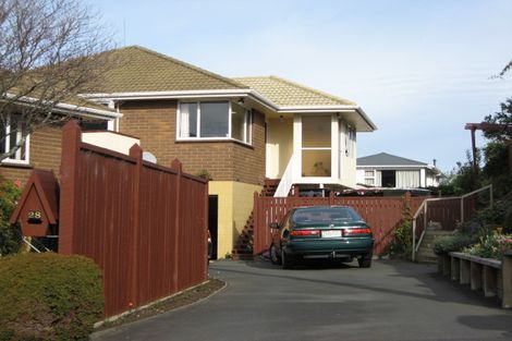 Photo of property in 28 Sheen Street, Roslyn, Dunedin, 9010