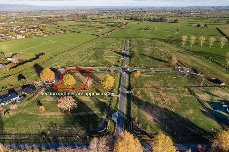 Photo of property in 7 Orchard Place, Matamata, 3472