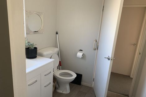 Photo of property in 58a Primrose Street, Frankton, Hamilton, 3204