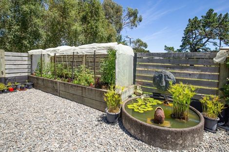 Photo of property in 19 Denton Road, Levin, 5571