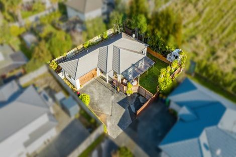 Photo of property in 44 Roy Maloney Drive, Henderson, Auckland, 0612