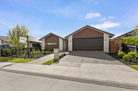 Photo of property in 16 Harp Street, Morrinsville, 3300