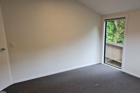 Photo of property in 61 Norway Street, Aro Valley, Wellington, 6012
