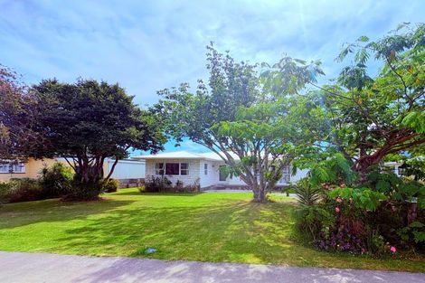 Photo of property in 48 Apatu Street, Wairoa, 4108