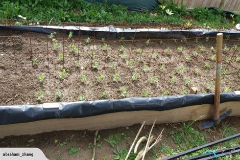 Photo of property in 13 Cooladerry Place, Rosehill, Papakura, 2113