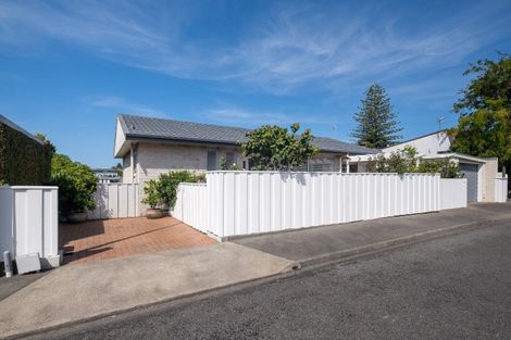 Photo of property in 31 Fitzroy Road, Bluff Hill, Napier, 4110