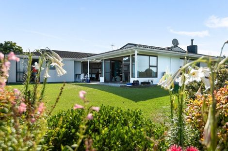 Photo of property in 131 Athenree Road, Athenree, Katikati, 3177