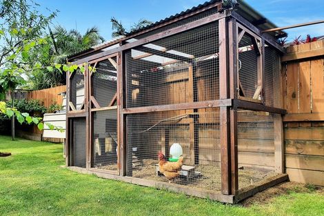 Photo of property in 207 Darraghs Road, Brookfield, Tauranga, 3110