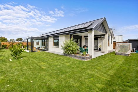 Photo of property in 17 Plains Avenue, Masterton, 5810