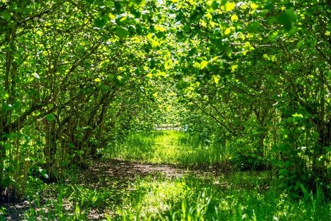 Photo of property in 191 Tyntesfield Road, Waihopai Valley, Blenheim, 7276
