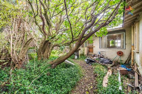 Photo of property in 76 Knights Road, Hutt Central, Lower Hutt, 5010
