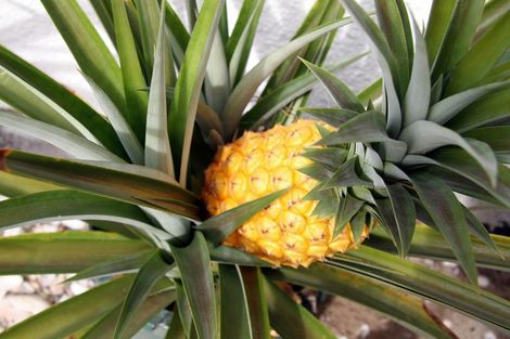 Photo of property in 308 Henderson Bay Road, Houhora, Kaitaia, 0484