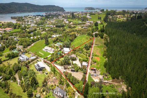 Photo of property in 55 Herbert Drive, Whangamata, 3620