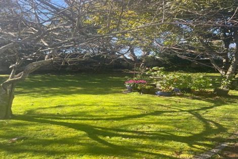 Photo of property in 53 Anglesea Street, Hamilton Central, Hamilton, 3204