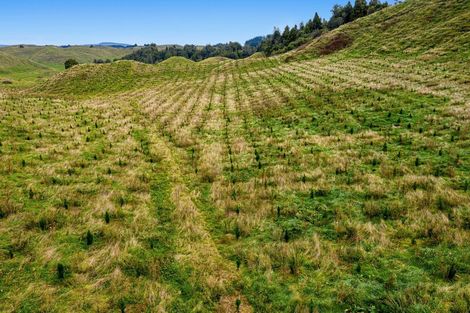 Photo of property in 31 Tarver Lane, Pikowai, Whakatane, 3194