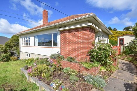Photo of property in 115 Chapman Street, Wakari, Dunedin, 9010