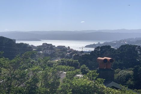 Photo of property in 46 Mount Pleasant Road, Aro Valley, Wellington, 6012