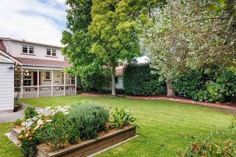 Photo of property in 247 College Street, West End, Palmerston North, 4412
