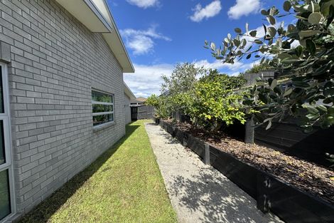 Photo of property in 17 Denham Court, Flagstaff, Hamilton, 3210