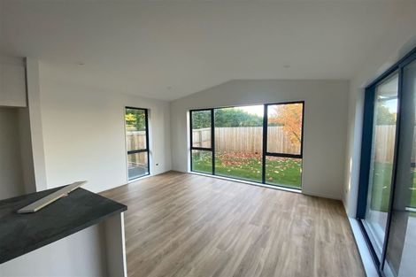 Photo of property in 33 Lowes Road, Rolleston, 7614