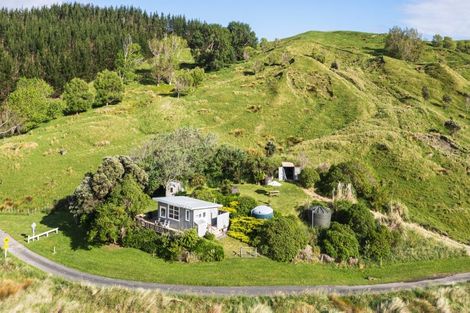 Photo of property in 167 Williams Road, Kairakau, Elsthorpe, 4295