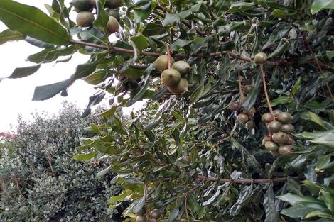 Photo of property in 10 Citation Way, Botany Downs, Auckland, 2010