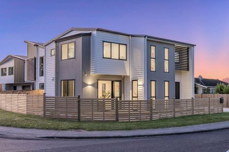 Photo of property in 1b Springfield Street, Forrest Hill, Auckland, 0620