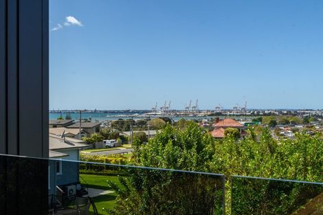 Photo of property in 58a Hinewa Road, Otumoetai, Tauranga, 3110