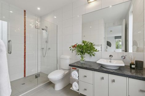 Photo of property in Alto Apartments, 4a/22 Telford Terrace, Oriental Bay, Wellington, 6011