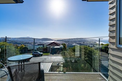 Photo of property in 61b Earls Road, Saint Clair, Dunedin, 9012