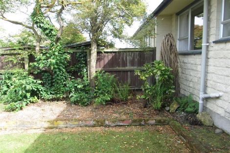 Photo of property in 2b Mockett Place, Culverden, 7392