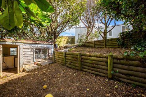 Photo of property in 379 Adelaide Road, Newtown, Wellington, 6021