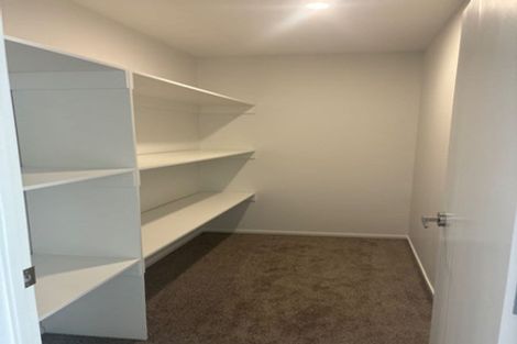 Photo of property in 58 Minhas Road, Papakura, 2110