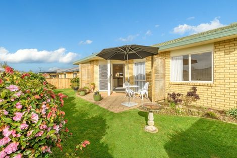 Photo of property in 60b Freyberg Street, Otumoetai, Tauranga, 3110