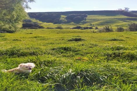 Photo of property in 36 Armstrong Road, Waiotahe, Opotiki, 3198