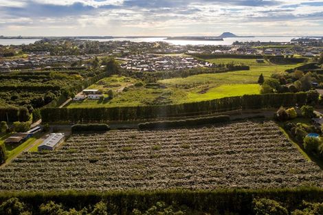 Photo of property in 39 Prole Road, Omokoroa, Tauranga, 3172