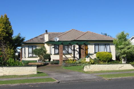 Photo of property in 17 Fitzherbert Street, Putaruru, 3411