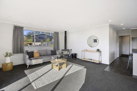 Photo of property in 62 Puketai Street, Andersons Bay, Dunedin, 9013