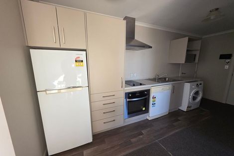 Photo of property in 62 Willoughby Street, Whitiora, Hamilton, 3200
