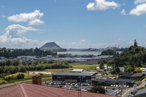 Photo of property in 1/19 Clarke Street, Gate Pa, Tauranga, 3112