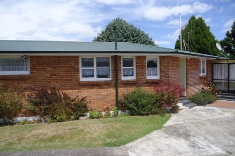 Photo of property in 11 Wavell Place, Putaruru, 3411