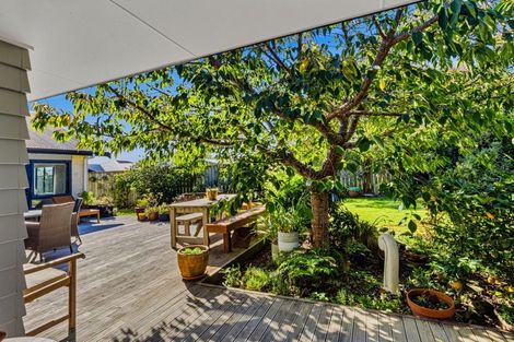 Photo of property in 6 Karlos Lane, Levin, 5510