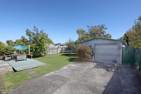 Photo of property in 118 Lethbridge Street, Feilding, 4702