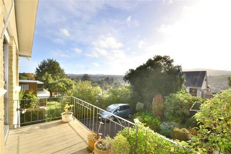 Photo of property in 17a Signal Hill Road, Opoho, Dunedin, 9010