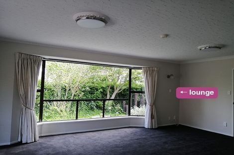 Photo of property in 1/124 Hamilton Avenue, Ilam, Christchurch, 8041