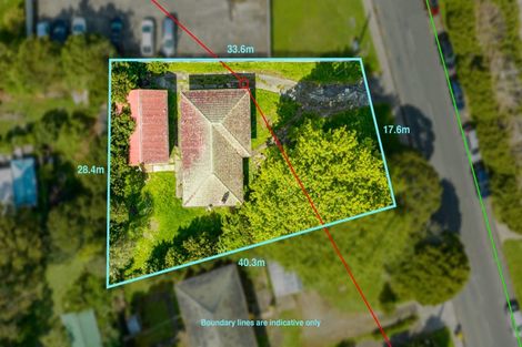 Photo of property in 21 Smythe Road, Henderson, Auckland, 0612